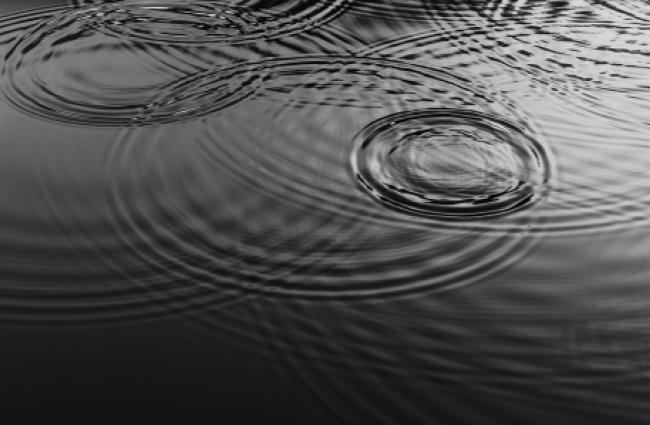 Overlapping ripples from water droplets in pond