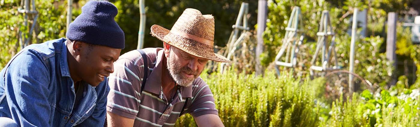 People gardening
