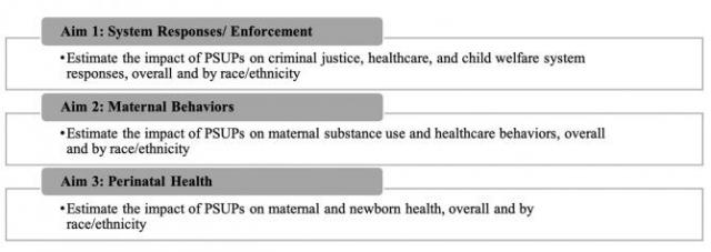 state prenatal substance use policies diagram