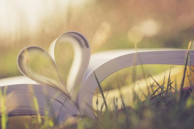 Close up heart shape from paper book on grass field with vintage filter